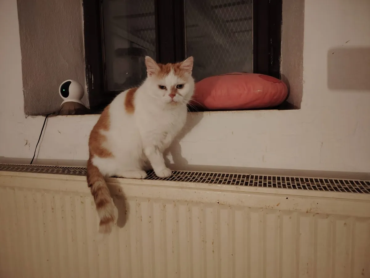 Rozárka – fotografie 2