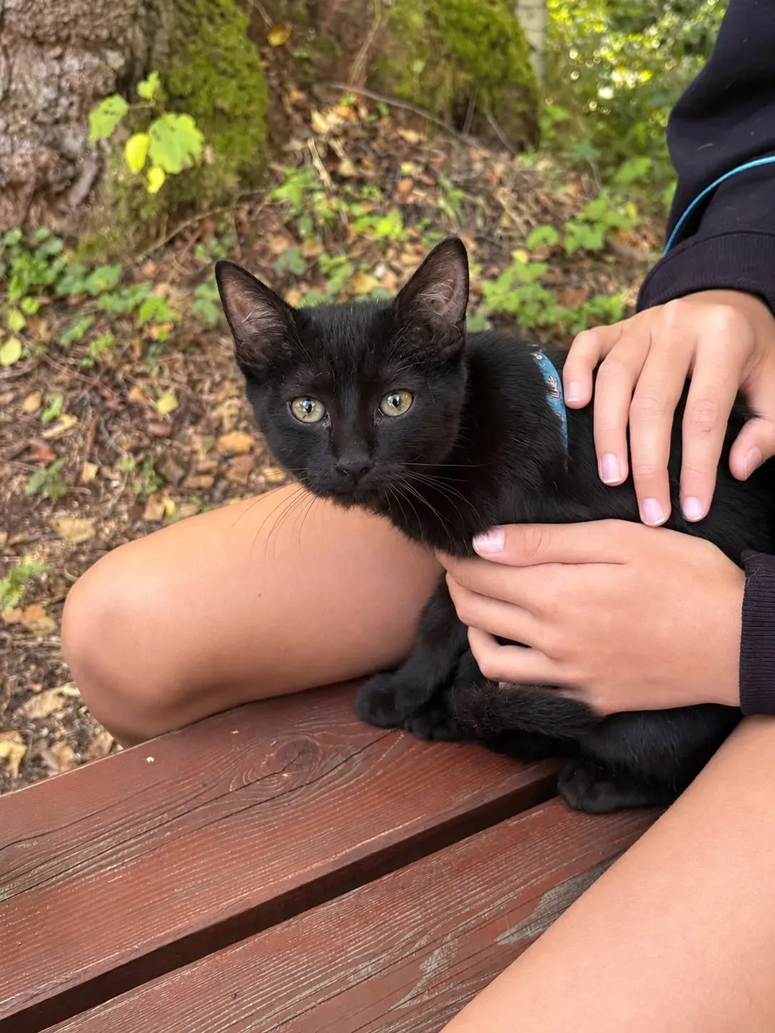 Arya – fotografie 7