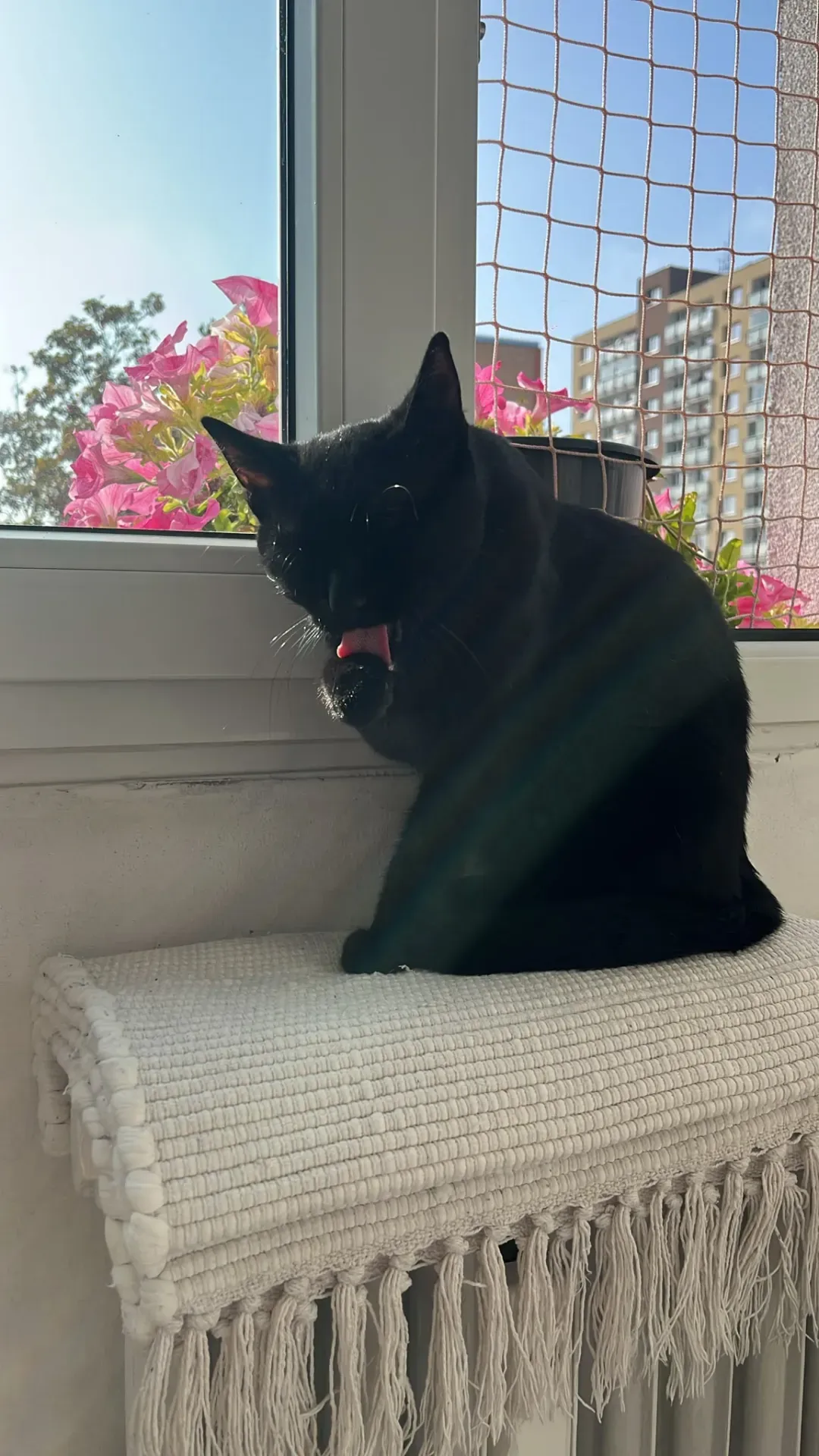 Zelfík  – fotografie 2