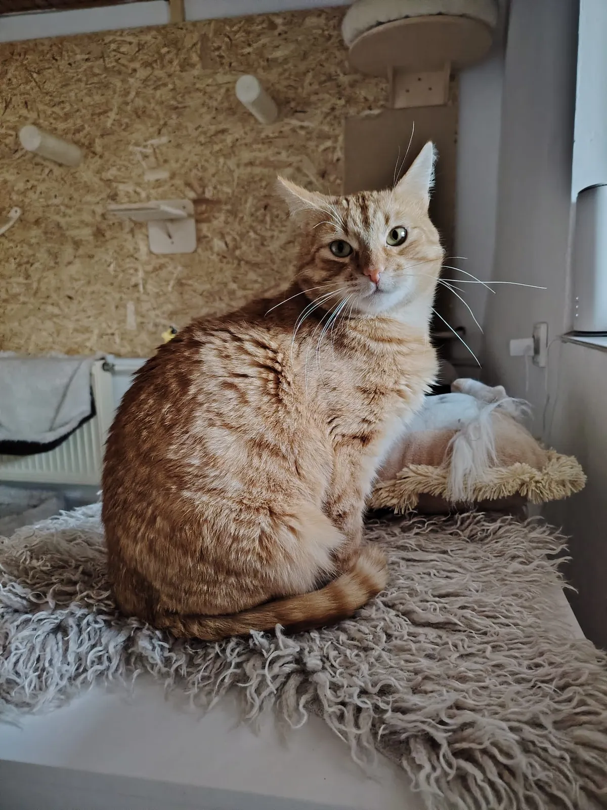 Karlík – fotografie 5