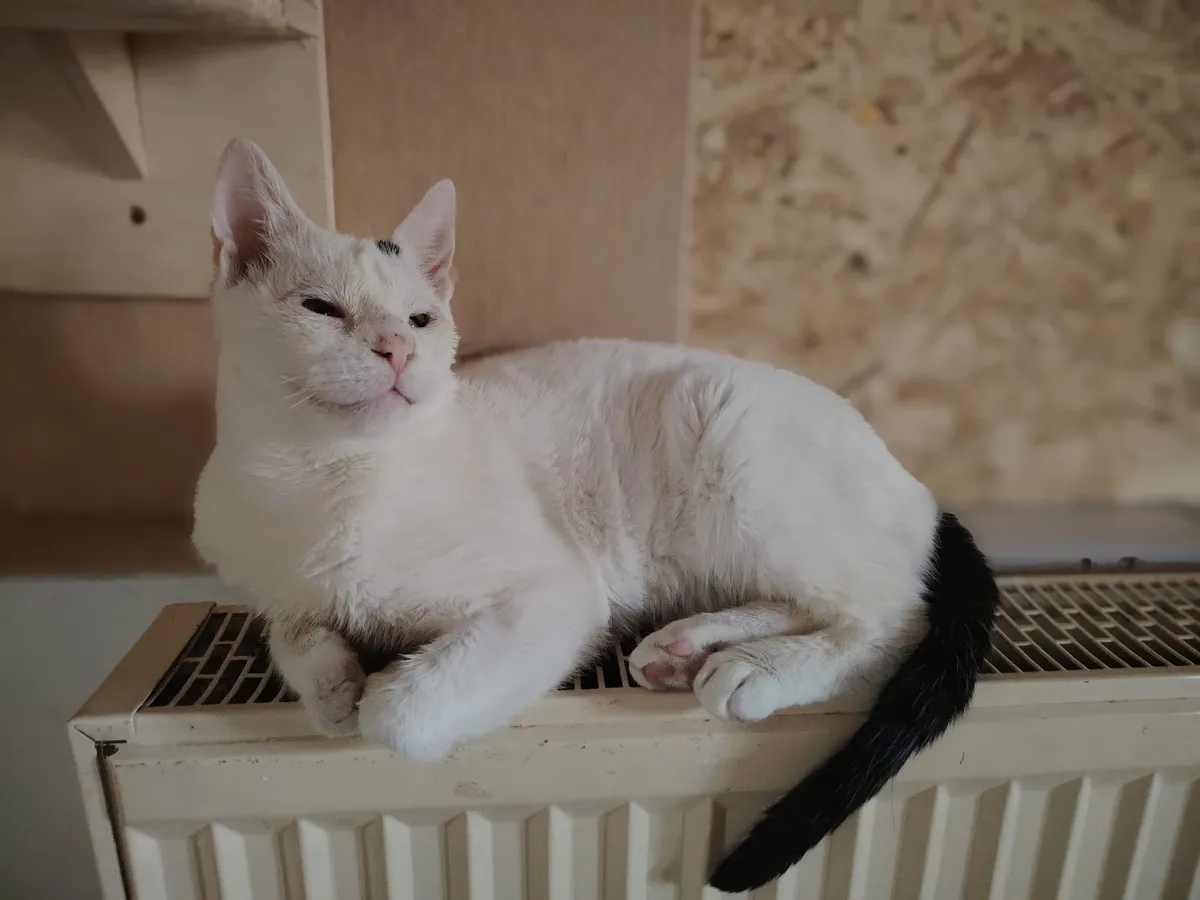 Oliver – fotografie 2