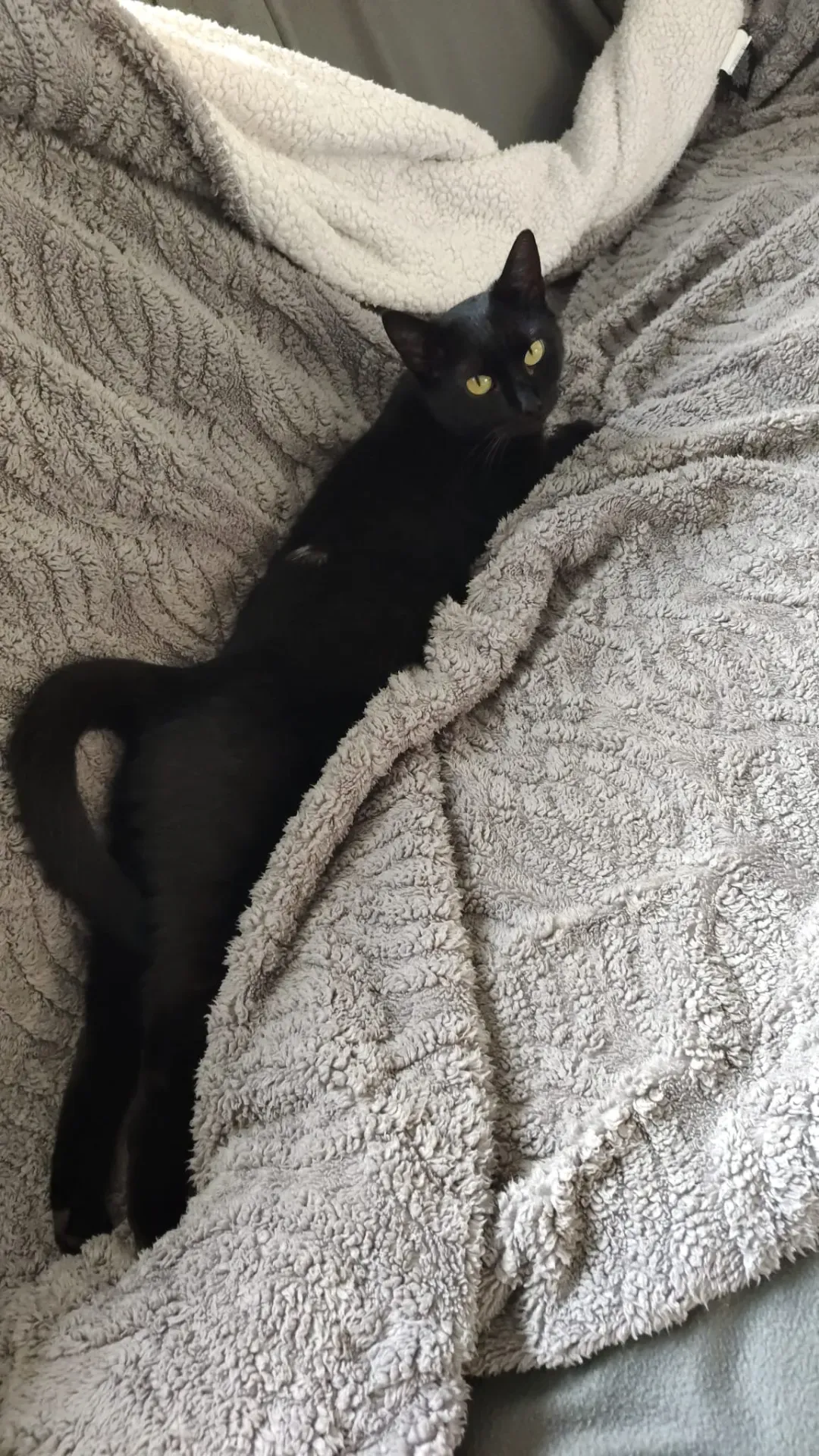 Freya  – fotografie 3