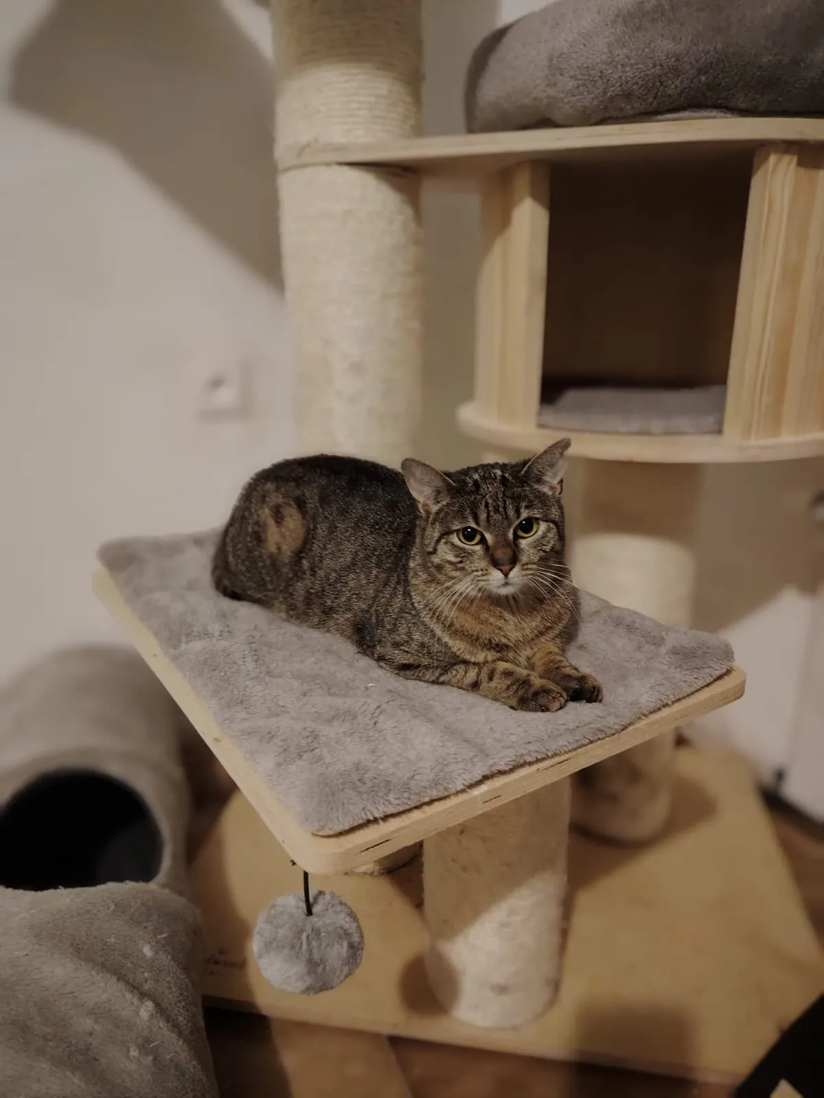 Borůvka – fotografie 1