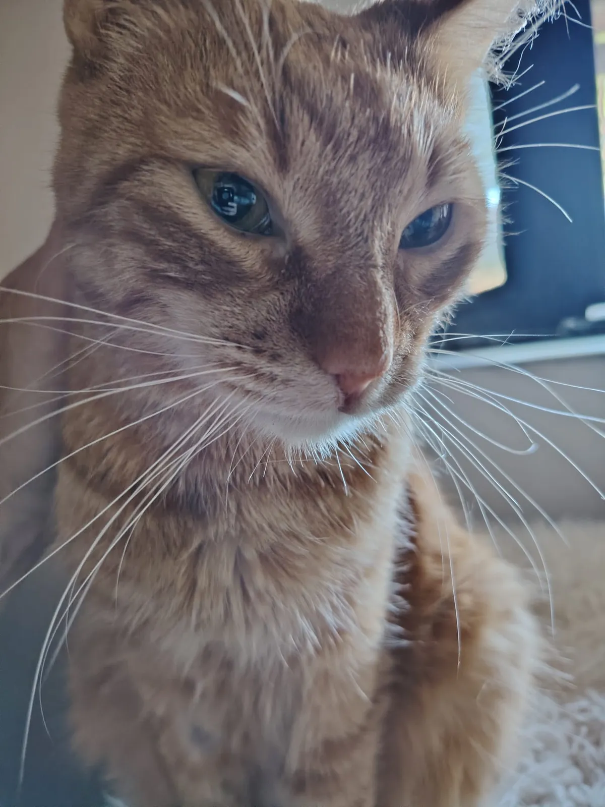 Karlík – fotografie 1
