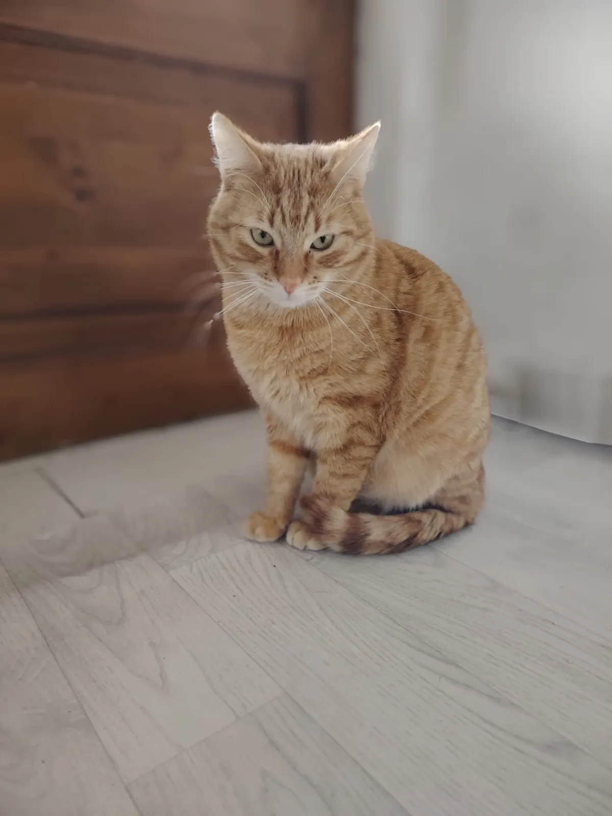 Karlík – fotografie 4