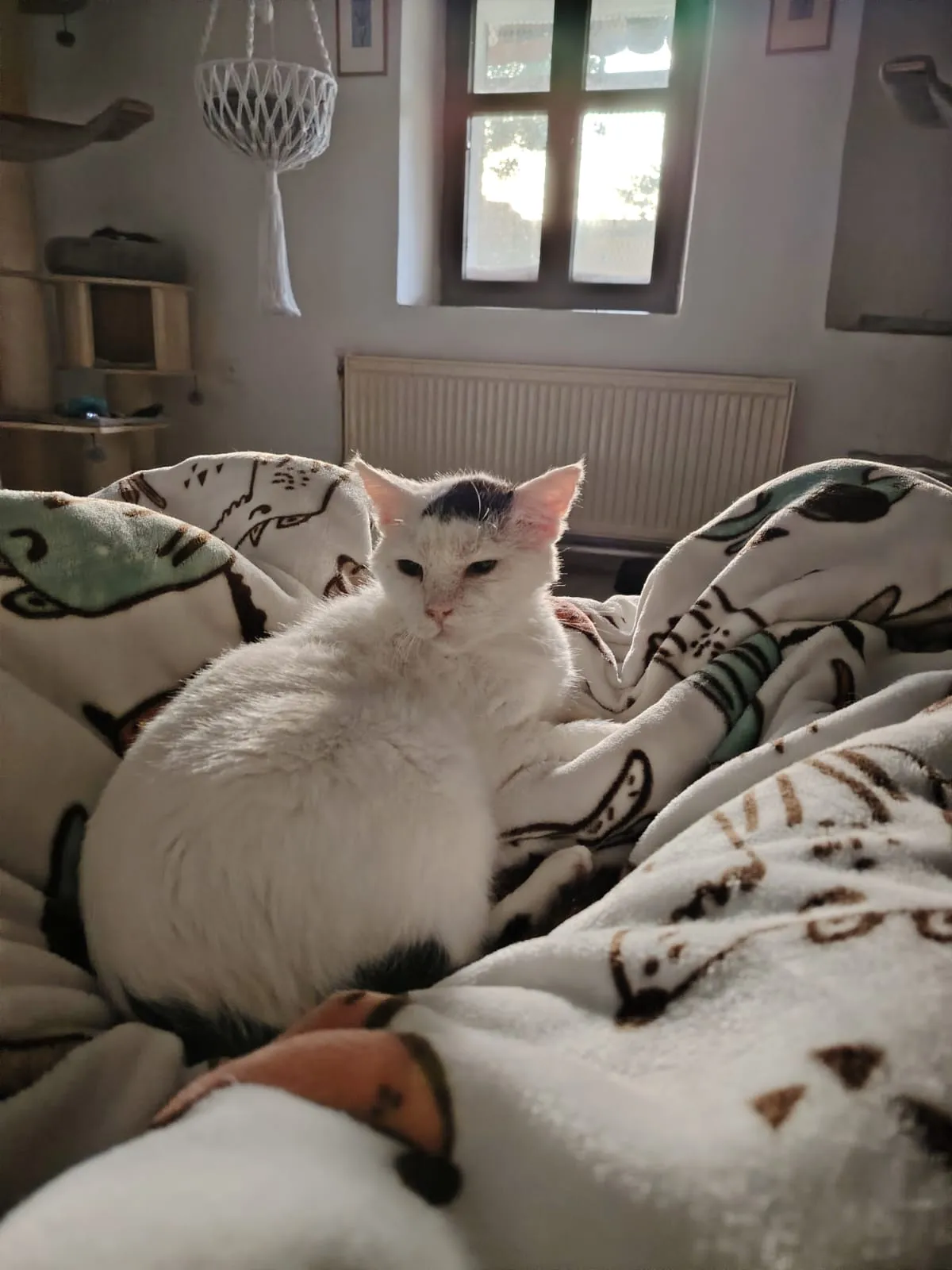 Adámek – fotografie 3